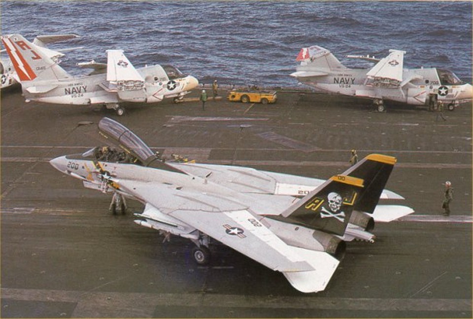 Here is the F-14 Tomcat from the USS Nimitz that inspired the paint scheme ...