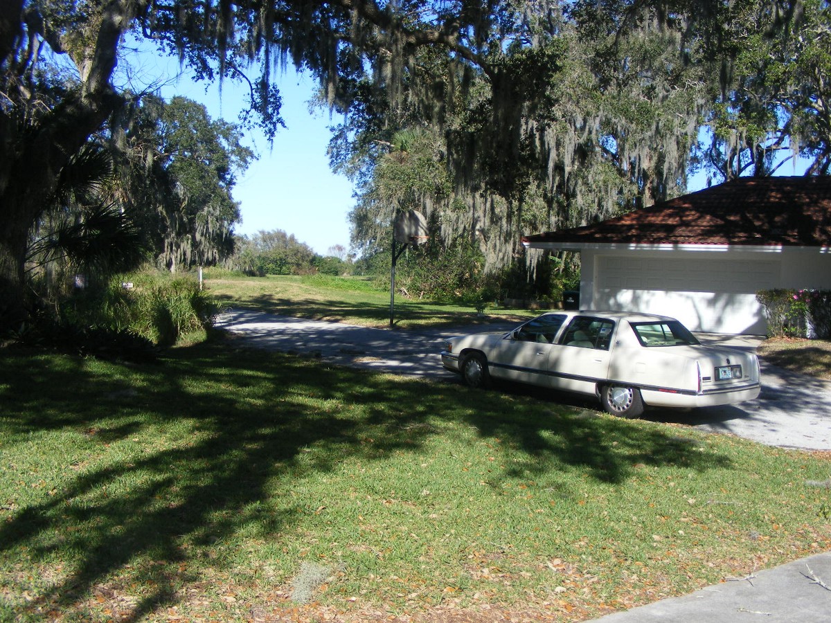 DSCW0660.jpg (482694 bytes)