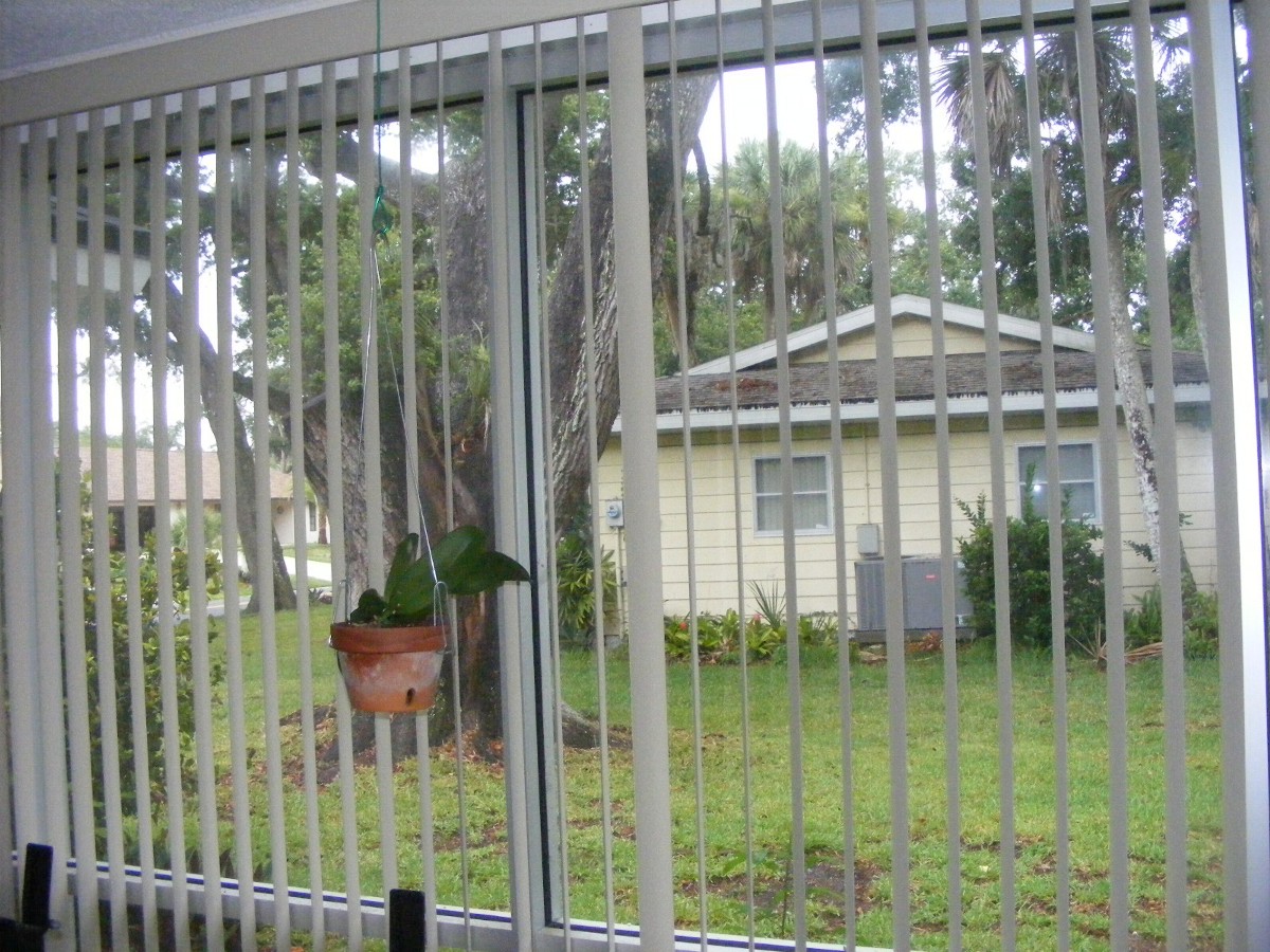 DSCW0734.JPG (333020 bytes)