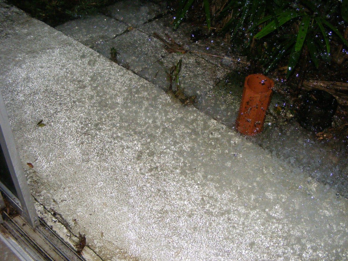 DSCW0744.JPG (443965 bytes)