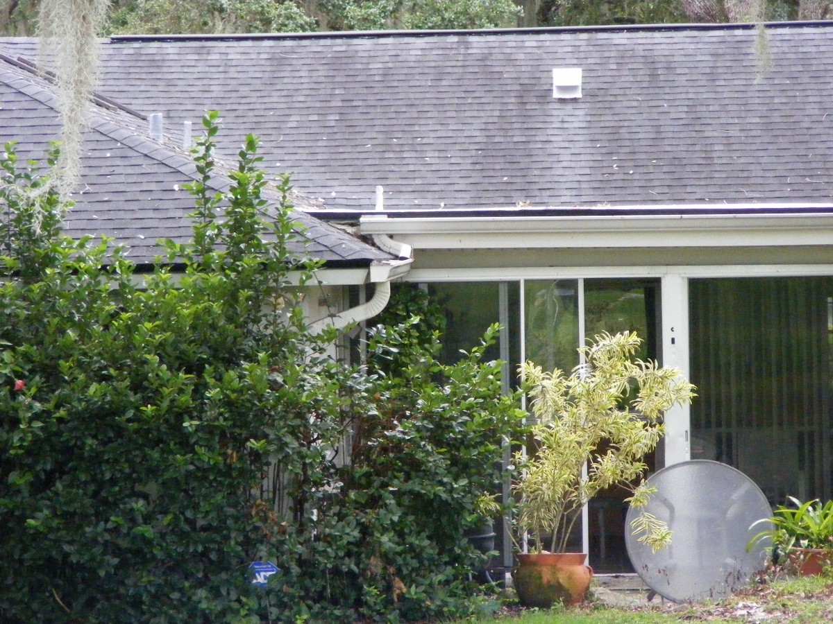 DSCW0772.JPG (380331 bytes)
