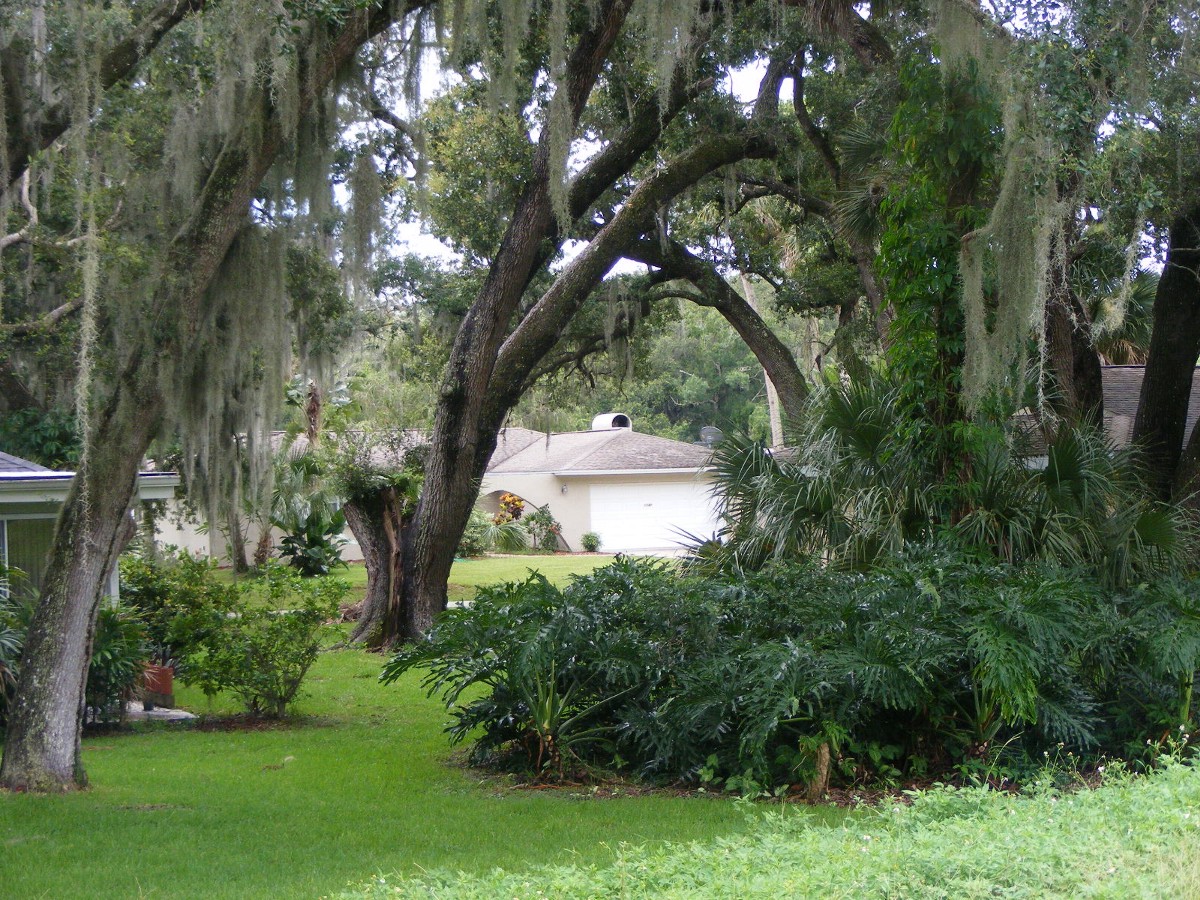 DSCW0774.JPG (469955 bytes)
