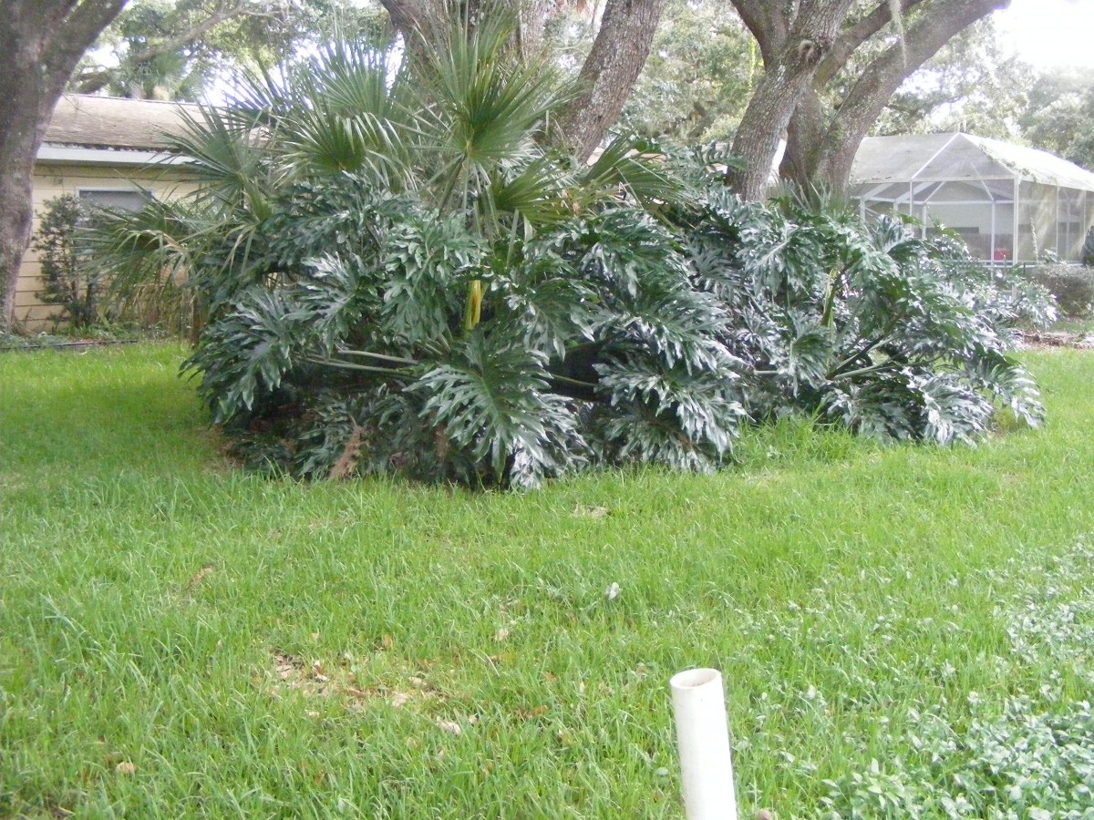 DSCW0782.JPG (455986 bytes)