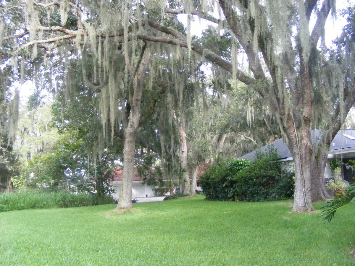 DSCW0784.JPG (407450 bytes)