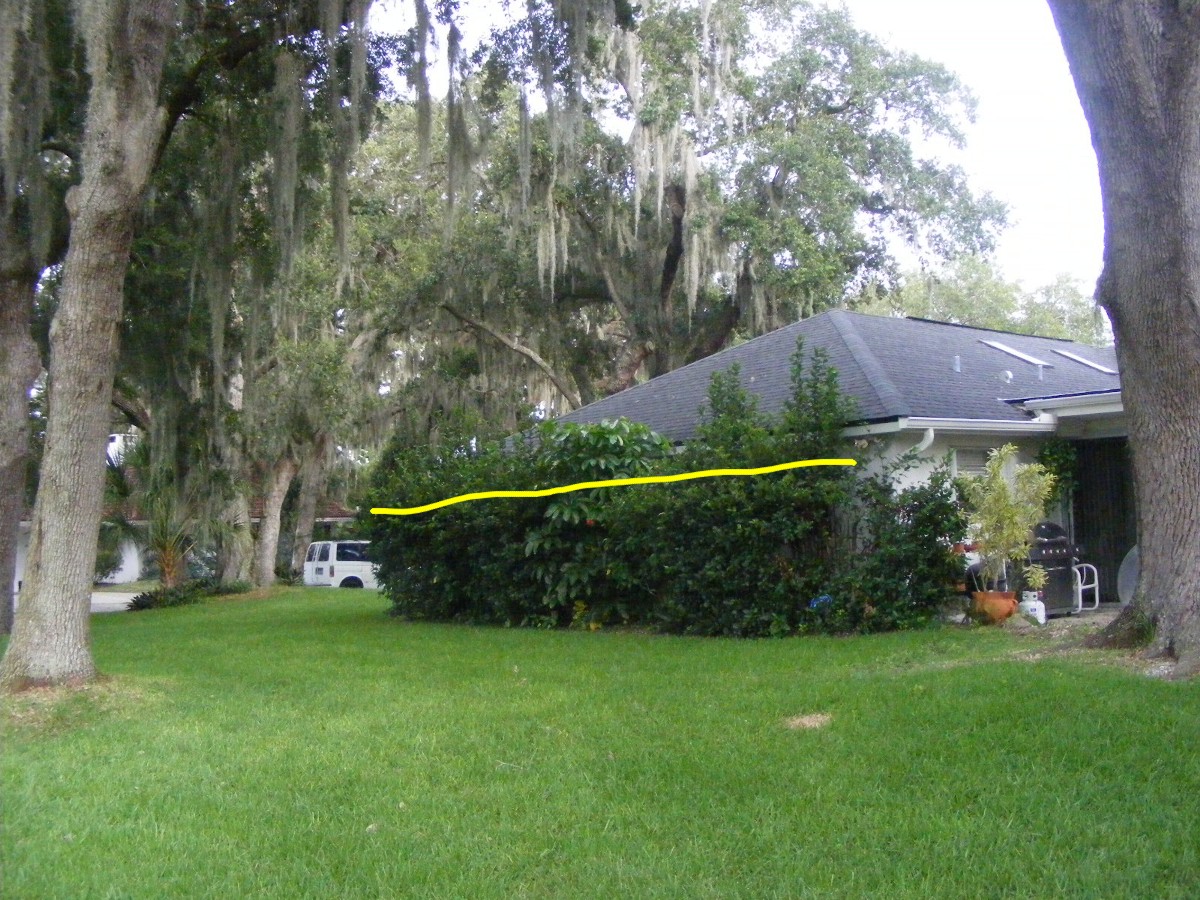 DSCW0785A.jpg (375343 bytes)