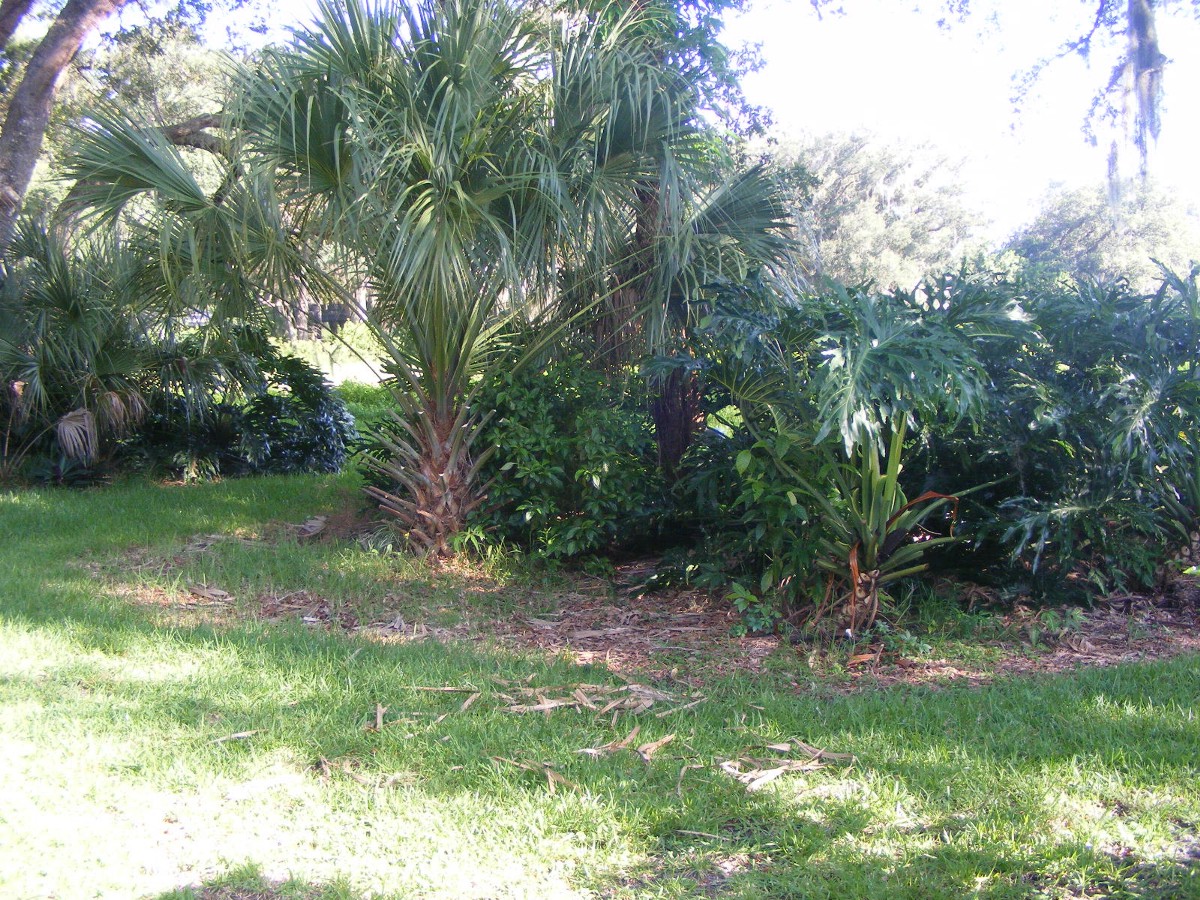 DSCW0791.JPG (492242 bytes)