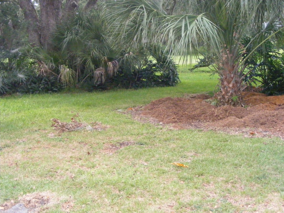 DSCW1079.JPG (393950 bytes)