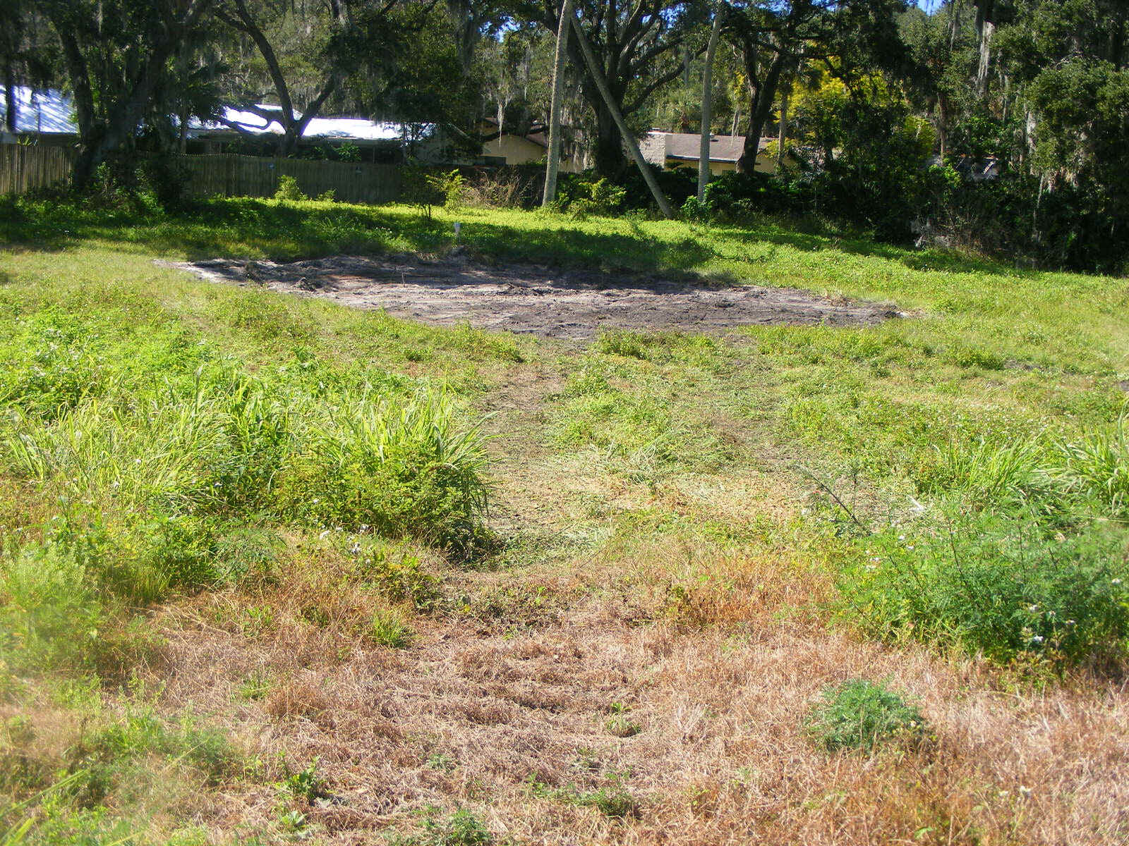 DSCW1539.JPG (570533 bytes)