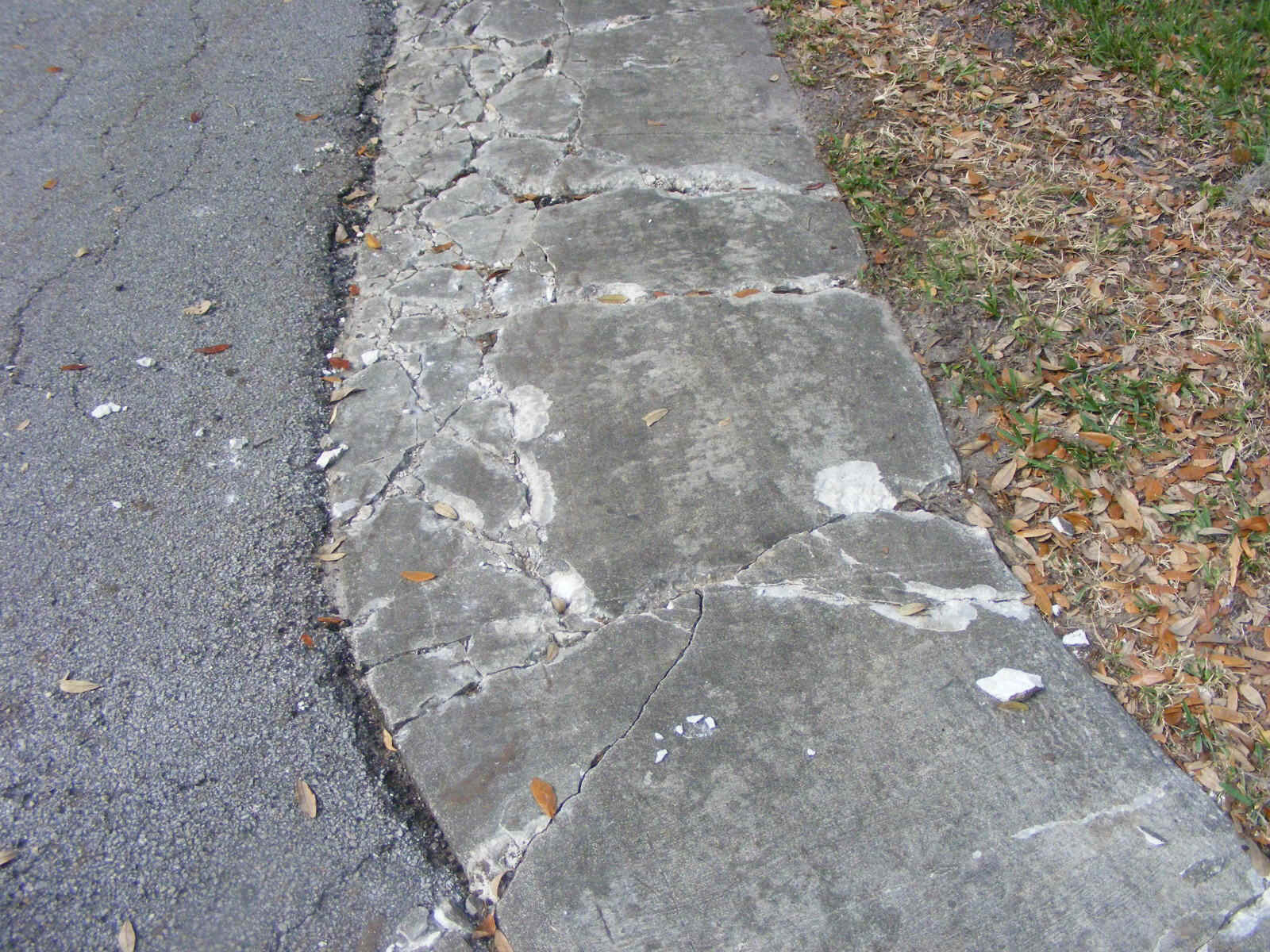 DSCW1543.JPG (513818 bytes)