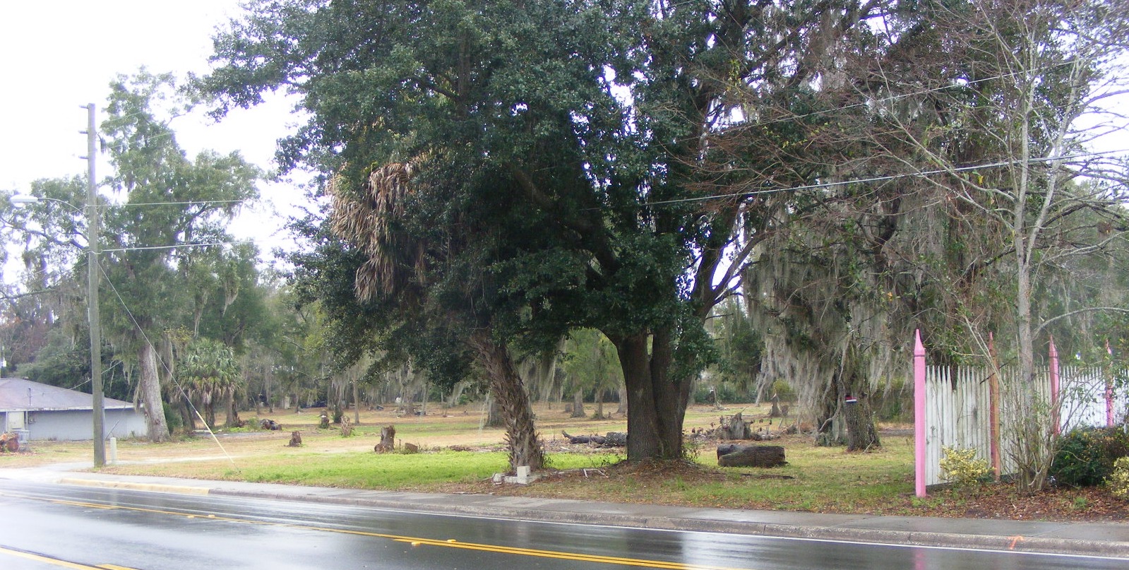 DSCT1015A.JPG (533114 bytes)