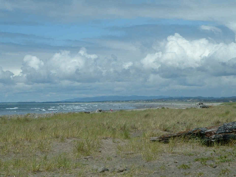 DSCJ0012.JPG (325847 bytes)