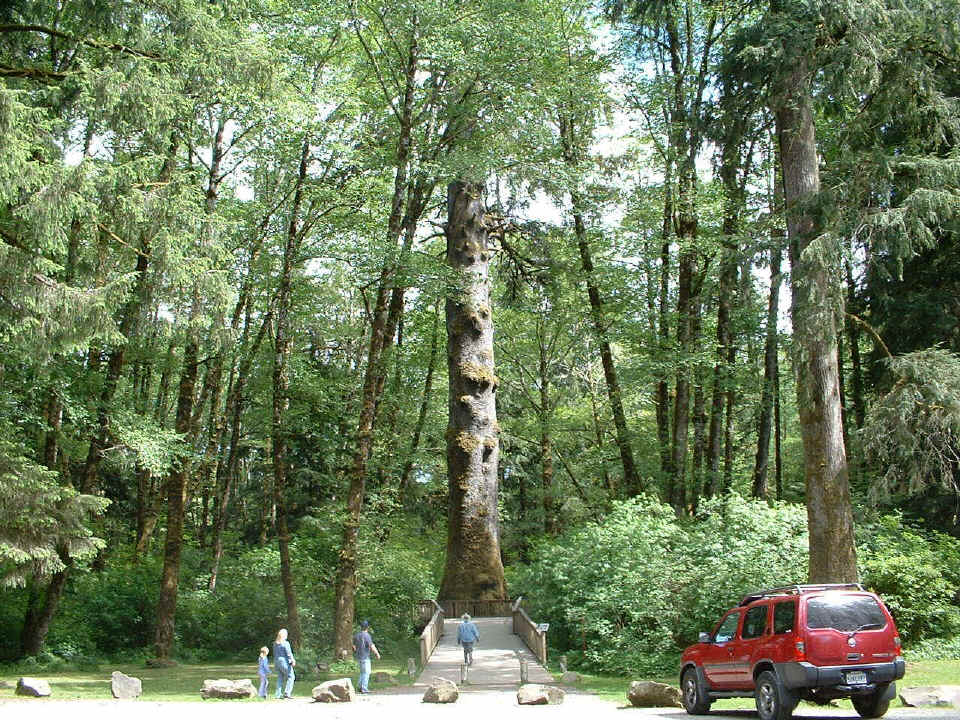 DSCJ0013.JPG (351008 bytes)